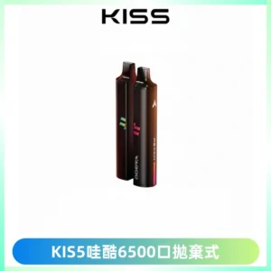 KIS5WAGOO哇酷6500口拋棄式 | 自由混搭雙口味 | 雙芯組合